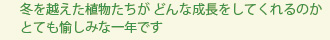 2007title-text