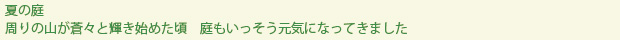 summer-text