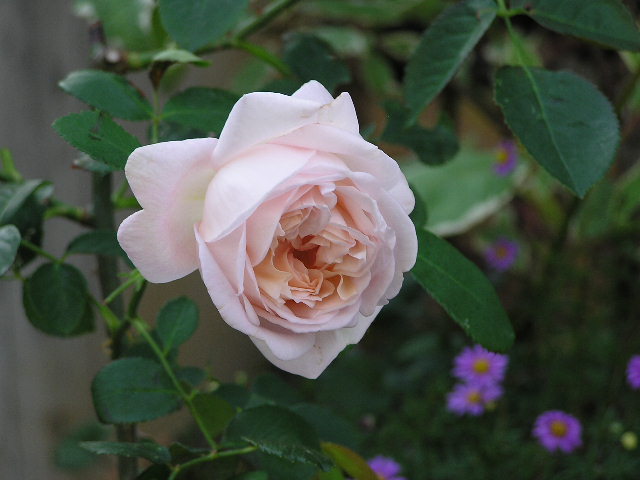 10月12日