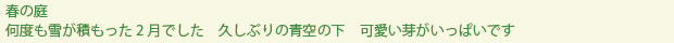 spring-text