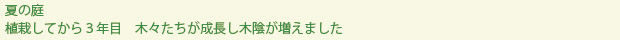 spring-text
