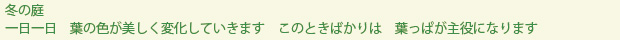 spring-text