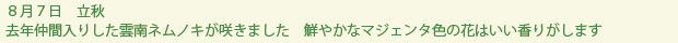 spring-text