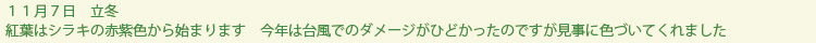 syunbun-text