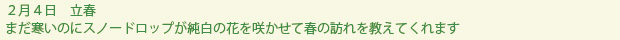 spring-text