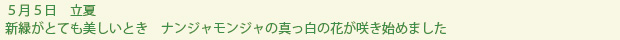 spring-text