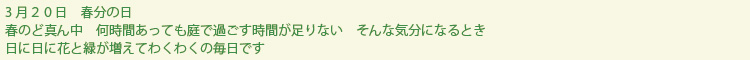 syunbun-text