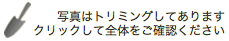 写真をクリックして全体をご確認ください。