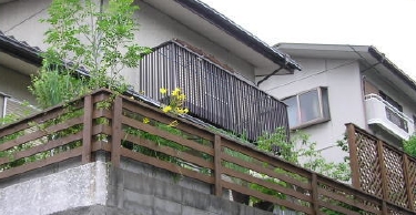 ta9.jpg