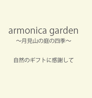 agtop_1