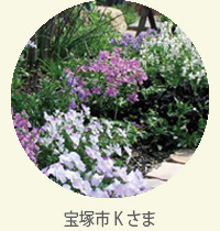 album-10