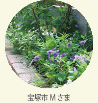 album-11