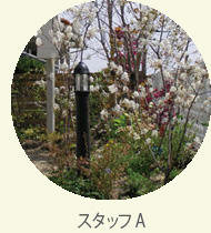 album-12