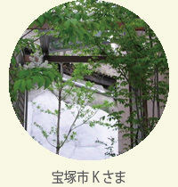album-3