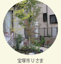 album-6