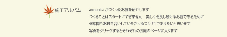 album-text