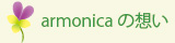 wish_of_armonica