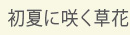 title_kusa_syoka